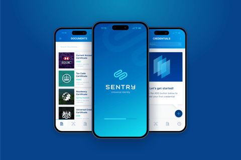 Sentry project