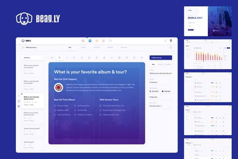 Beag.ly | Survey Web Application project