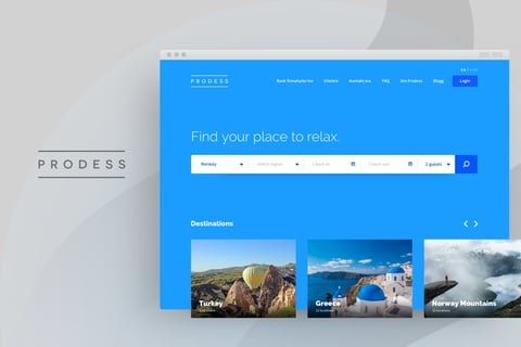 Prodess|Website UX/UI Design project