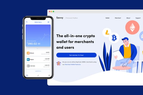 Savvy Crypto project