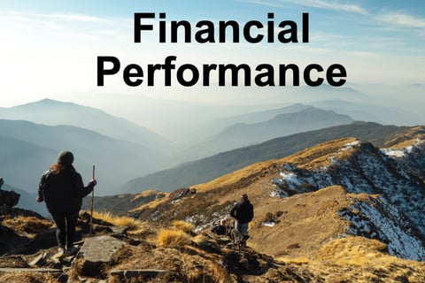 Financial Performance Overview for Startups project