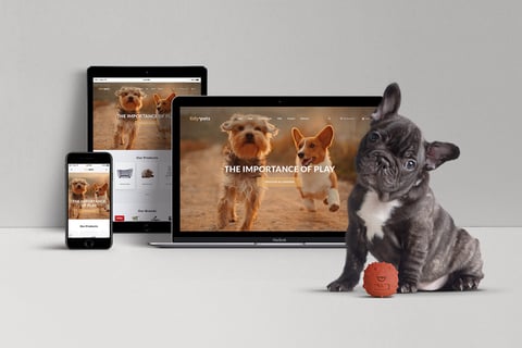 Tidy Pets project