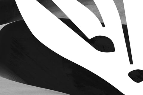 Fennec Sport | Brand Identity Design project