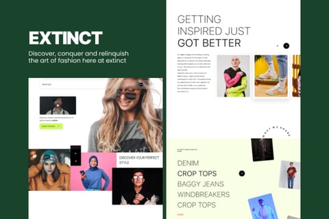 eCommerce Shop: Extinct project