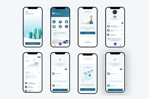 Safex - Wealth Managment project