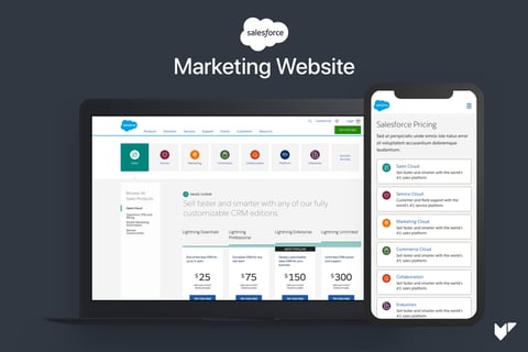 Salesforce.com Website: Pricing Page project