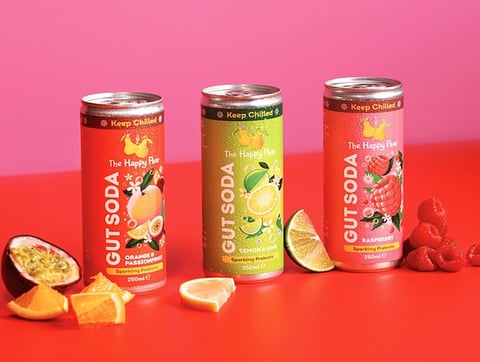 Beverage Brand Packaging Illustrations for 'The Happy Pear' project