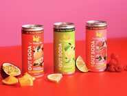 Beverage Brand Packaging Illustrations for 'The Happy Pear'