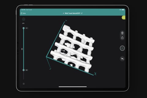 GPR Live and Flaw Detector Live project