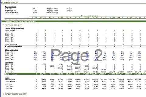 Operating Model for an Early-stage Restaurant Chain project