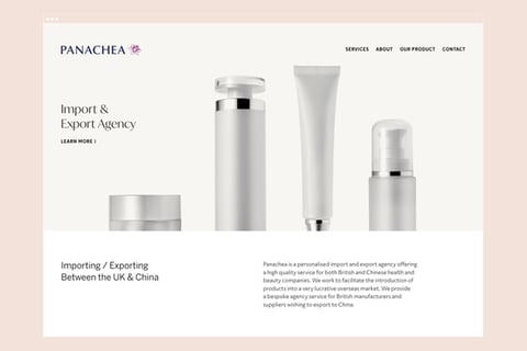 Panachea Limited | Web Design project