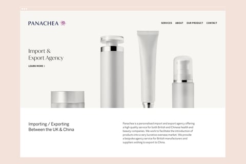 Panachea Limited | Web Design project