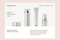 Panachea Limited | Web Design