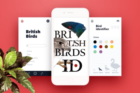 Mobile App Redesign for Royal Society for the Protection of Birds project