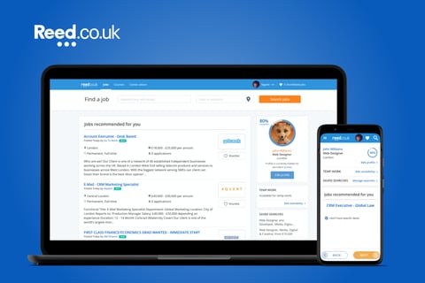 Reed | Job Seeking Website Redesign project