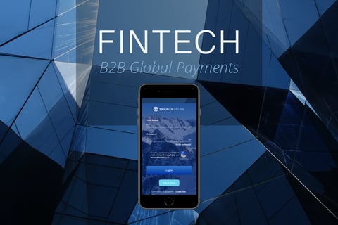 Fintech - B2B Global Payments project