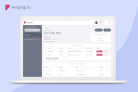 Wingtag Automated Data Analysis Tool