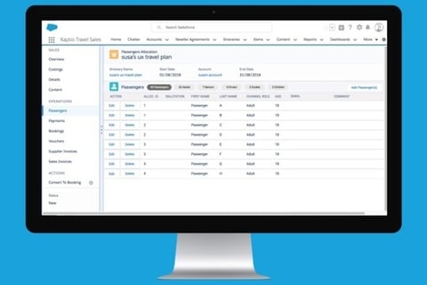 Kaptio Travel :: Designing a Booking Feature for A Travel App Based on Salesforce project