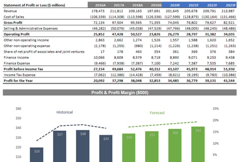High-level Financial Statement Analysis project