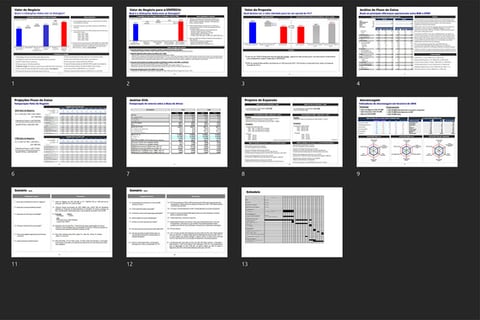 M&A Buy-Side Process Management- incl. Target Valuation & Synergy Analyses project