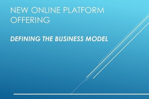 Business Model for New Product Offering project