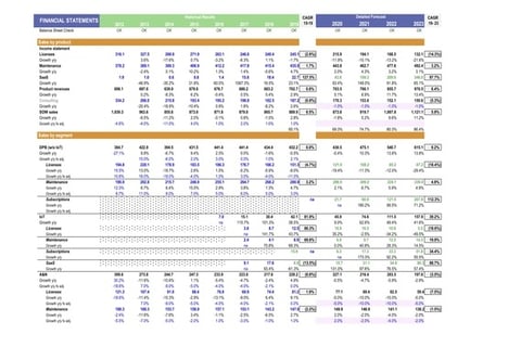 Full Financial Model for Software Company project