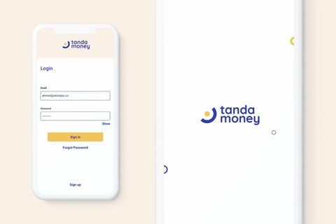 Tanda Money project