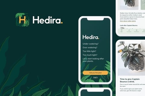 Hedira | Smart Plant Care App project
