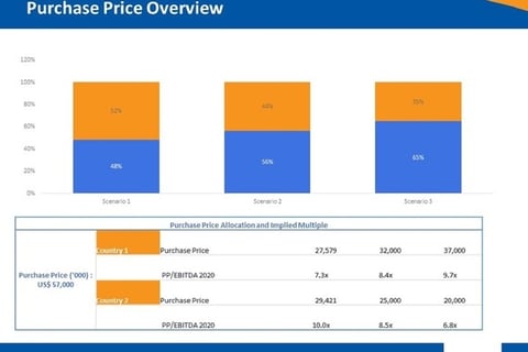 Distressed Company Valuation project