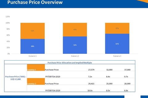 Distressed Company Valuation project