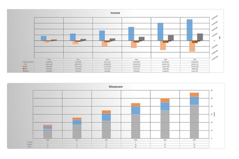Valuation of an Early-stage Service Company project