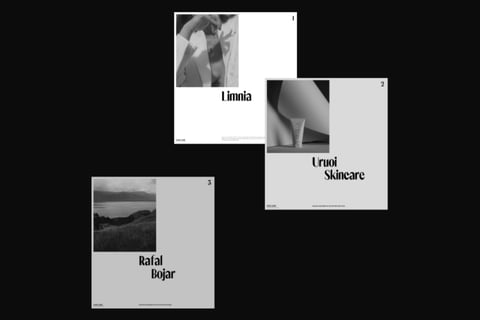 Website Creation for Synchronized Studio project