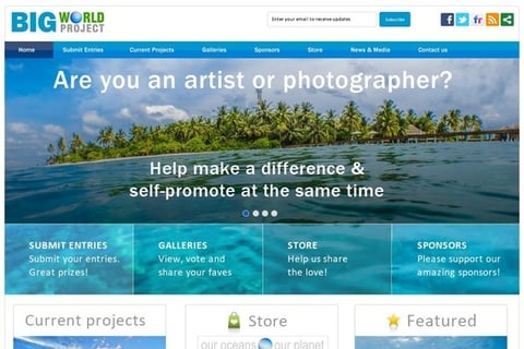 Big World Project Website Design project