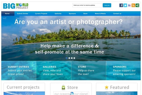 Big World Project Website Design project