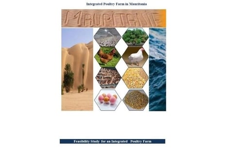 Seed Stage Investment for a Mauritanian De Novo Poultry Farm project