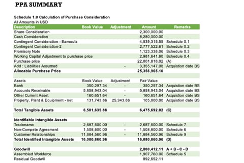Purchase Price Allocation Report for Acquisition of a Technology Company project