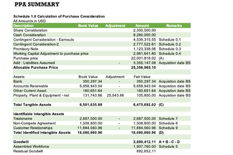 Purchase Price Allocation Report for Acquisition of a Technology Company project