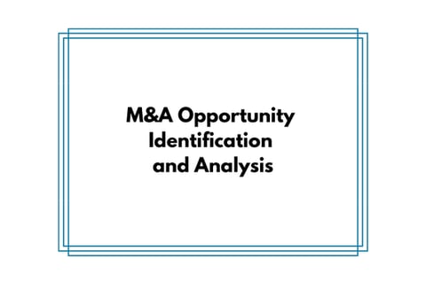 Investment Banking Pitch Regarding an M&A Opportunity project