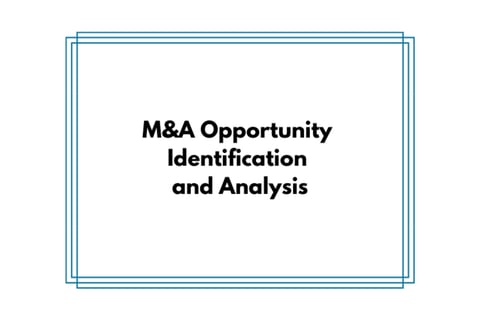 Investment Banking Pitch Regarding an M&A Opportunity project