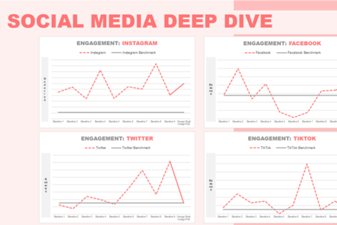 Report for a Social Media Marketing Campaign project