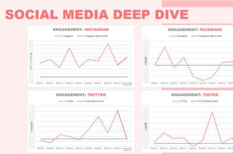 Report for a Social Media Marketing Campaign project