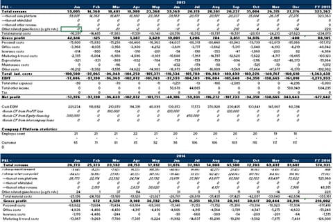 Fully-fledged Financial Model with Dynamic Statements (P&L, BS, CF) project