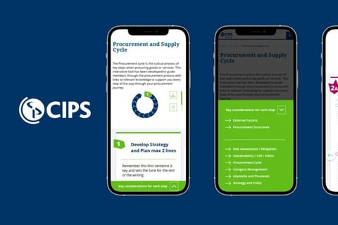 CIPS | Digital Reference Tool, UI Design, and UI Audit project