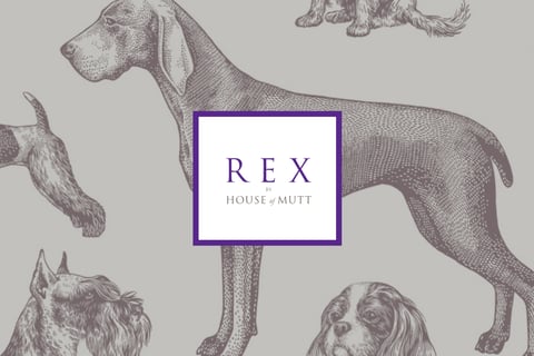 eCommerce Website for British Canine Club project