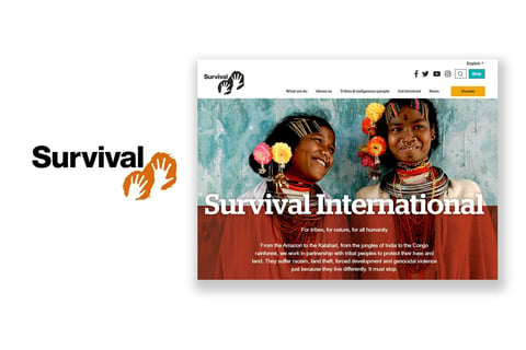 Survival International Donation Process project