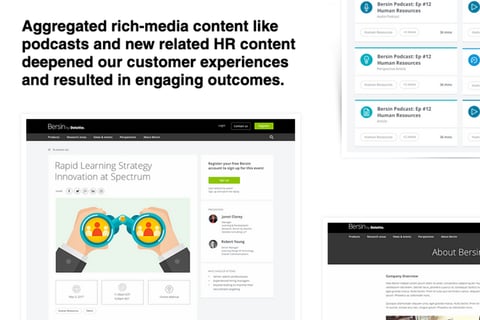 Creative Direction of the Bersin by Deloitte Marketing Website project