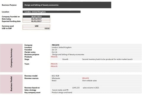 Financial Projections for Beauty Accessories Company project