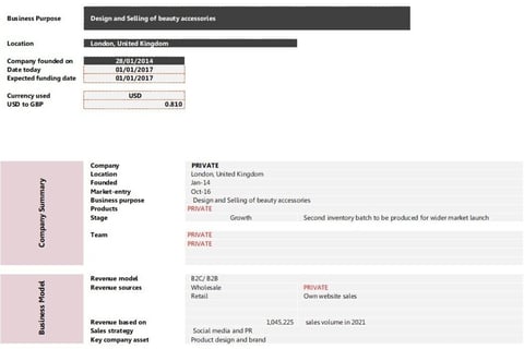 Financial Projections for Beauty Accessories Company project