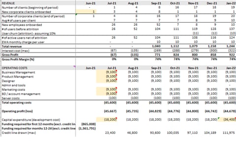 Financial Modeling for an Early-stage Startup project