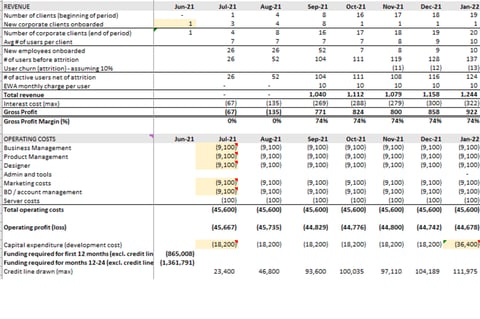 Financial Modeling for an Early-stage Startup project